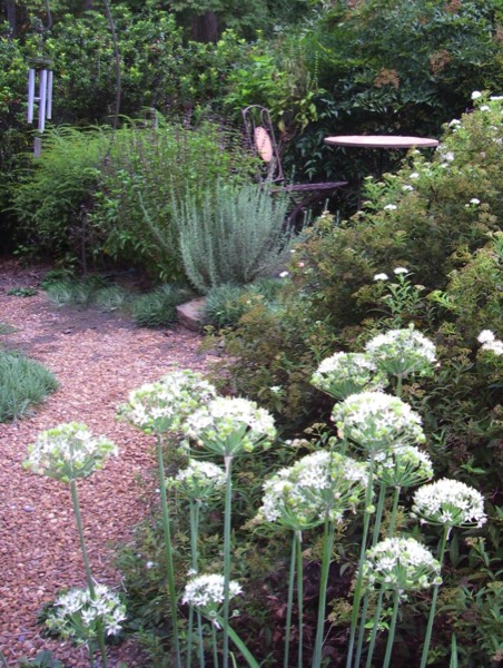 Herbs mixed into landscape